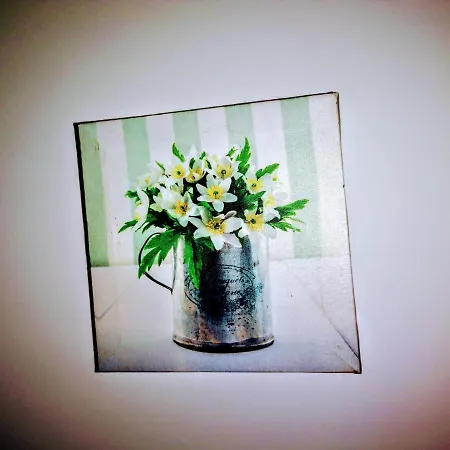 Casa Dos Avos * Funchal (Madeira)