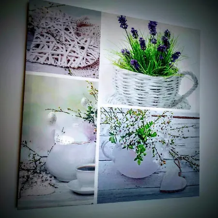 Hotell Casa Dos Avos *