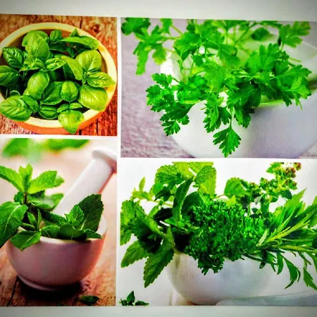 Casa Dos Avos Hotell Funchal (Madeira)