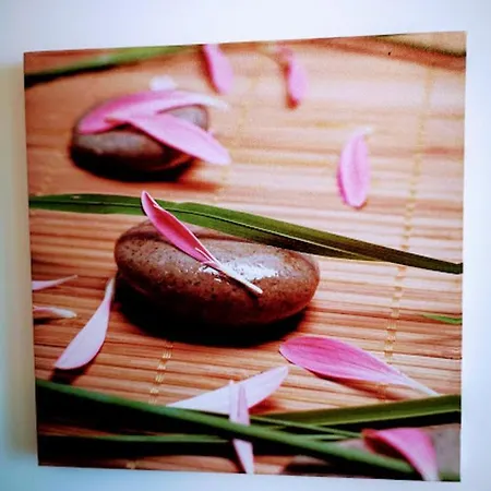 Hotell Casa Dos Avos *