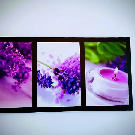 Hotel Casa Dos Avos *