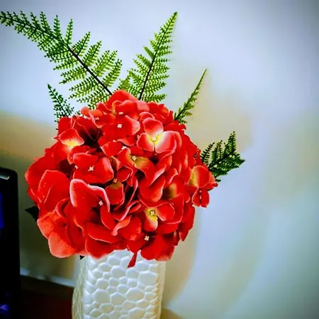 Casa Dos Avós * Funchal (Madeira)