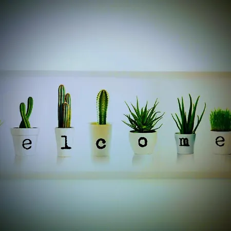 Hotel Casa Dos Avos Funchal (Madeira)