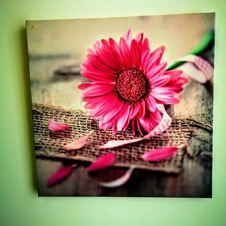 Hotel Casa Dos Avos *