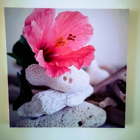 Casa Dos Avos Ξενοδοχείο *