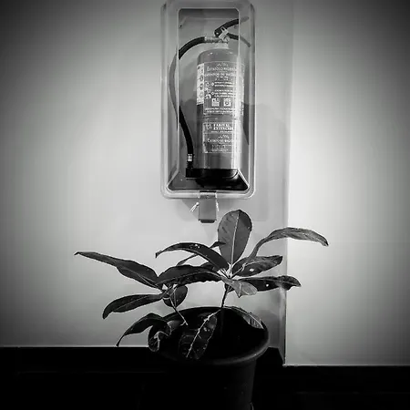 Ξενοδοχείο Casa Dos Avos