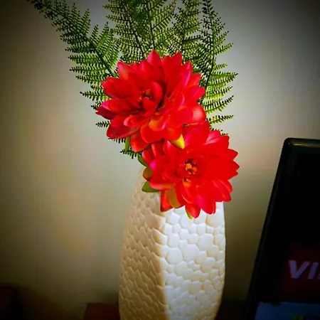 Ξενοδοχείο Casa Dos Avos