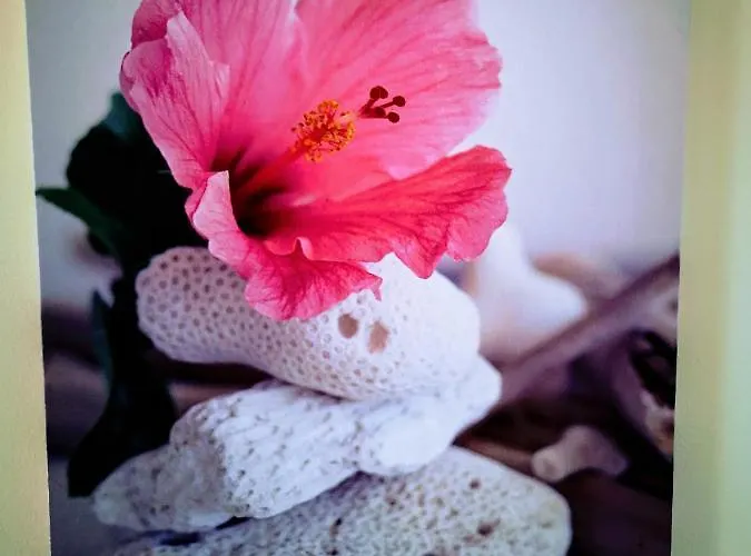 Casa Dos Avos Hotel *