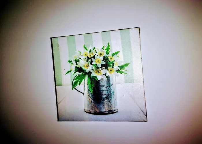 Casa Dos Avos * Funchal (Madeira)