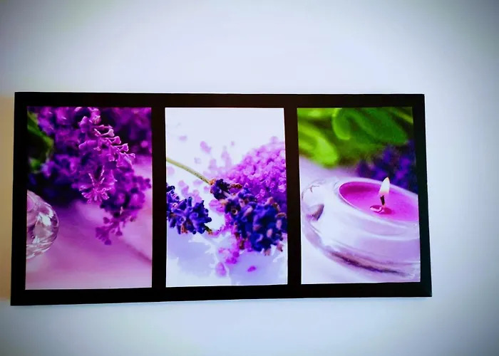 Hotel Casa Dos Avos *