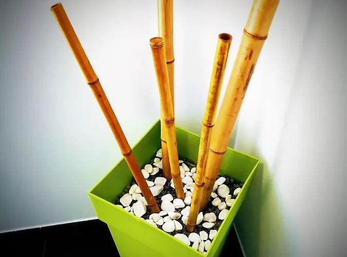 Casa Dos Avos Hotel Funchal (Madeira)