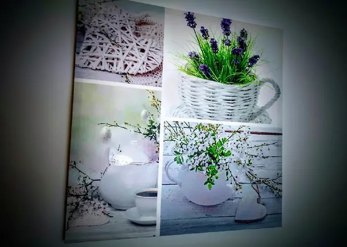 Hotel Casa Dos Avos *