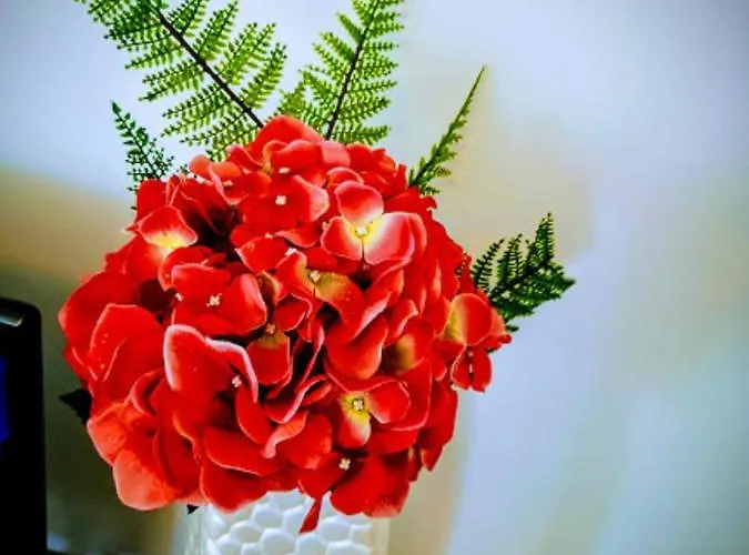 Casa Dos Avos * Funchal (Madeira)