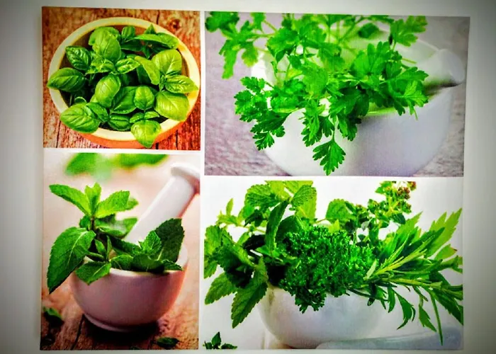 Casa Dos Avos Hotel Funchal (Madeira)