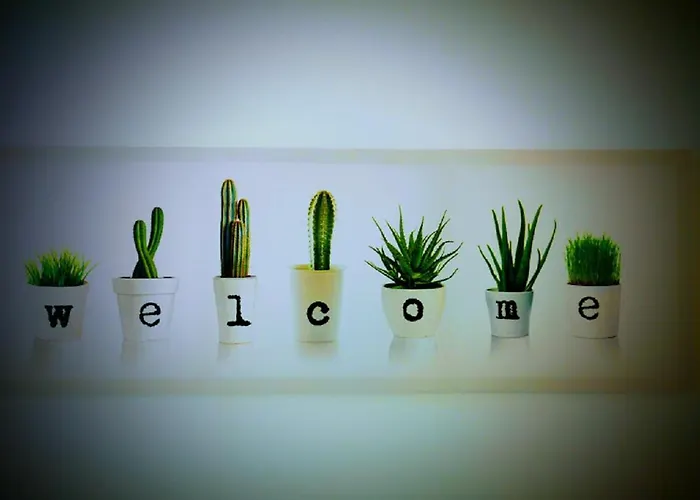 Hotel Casa Dos Avos Funchal (Madeira)